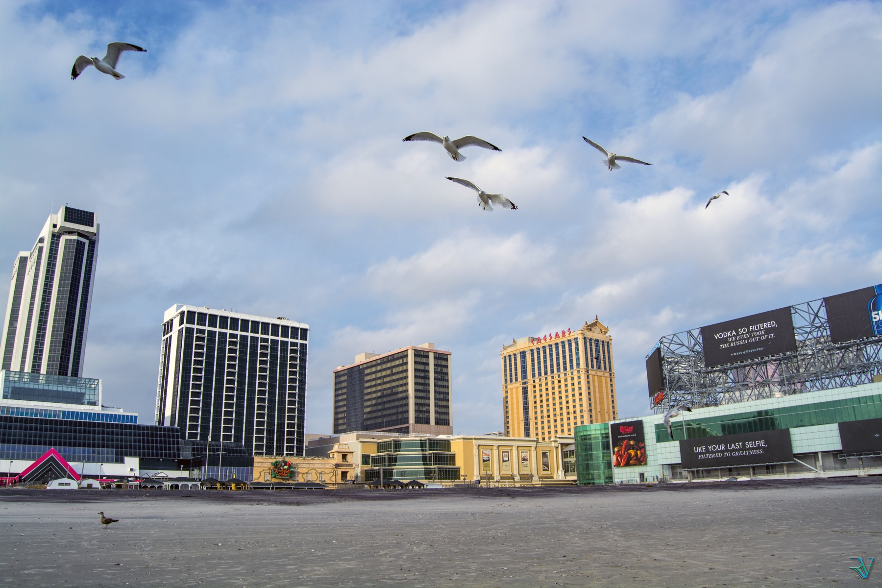 Seagulls flying above Atlantic City casinos beside the beach