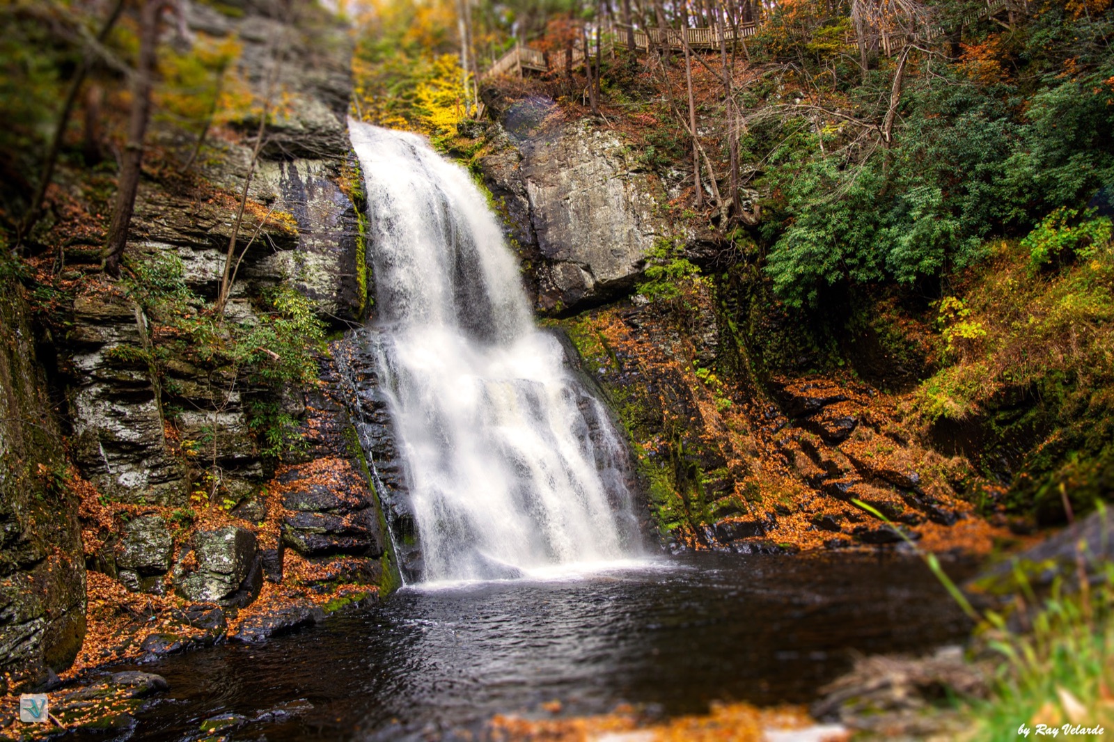 Waterfall pouring through a rocky gorge surrounded by autumn foliage