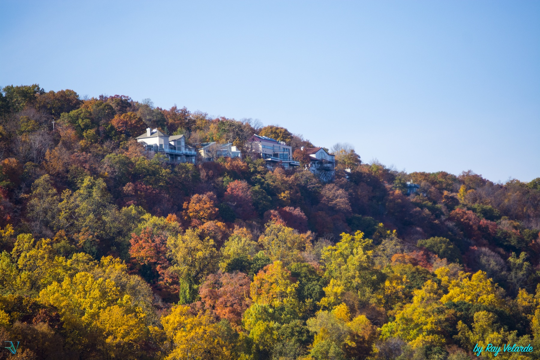 Homes surrounded by vivid autumn foliage on a hillside beneath a clear sky