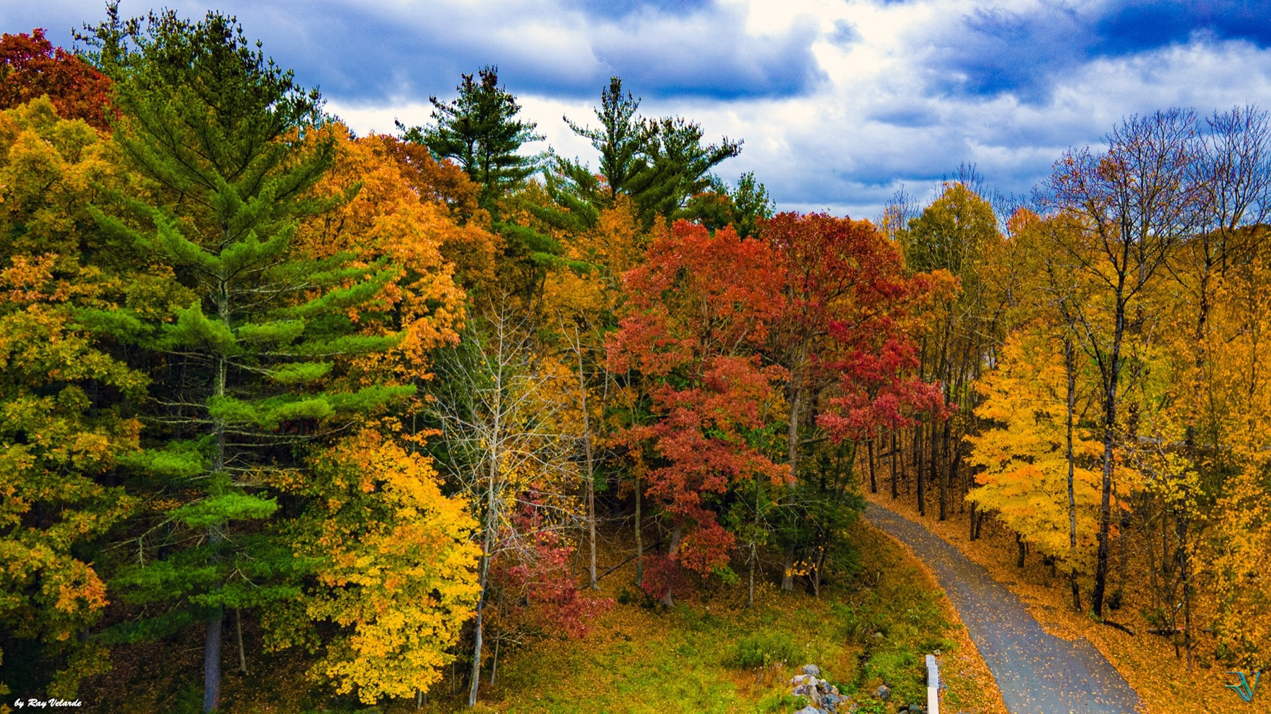 Aerial view of a narrow road winding through vivid autumn forest