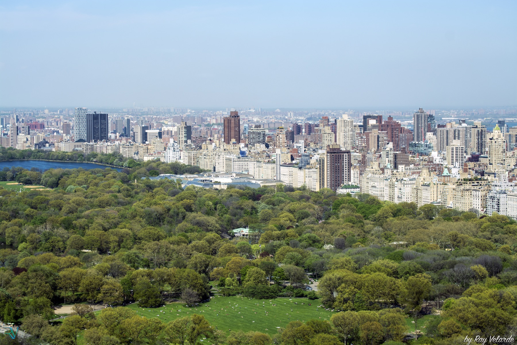 Wide elevated view of Central Park and the surrounding Manhattan skyline