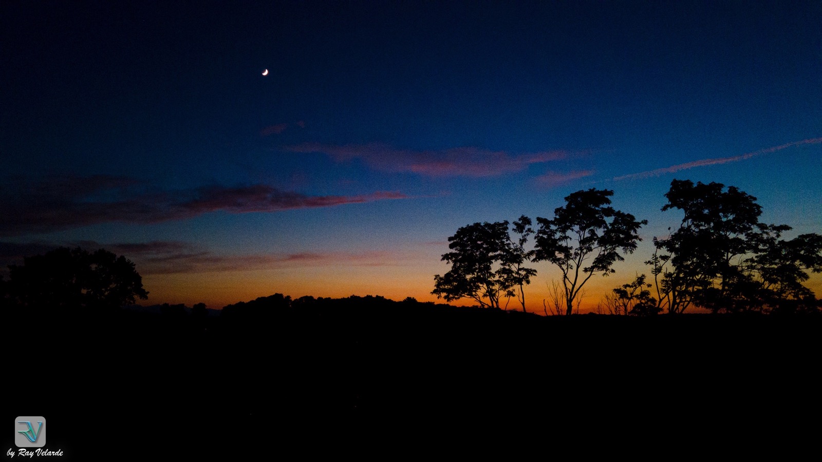 Crescent moon above a silhouetted treeline at blue hour