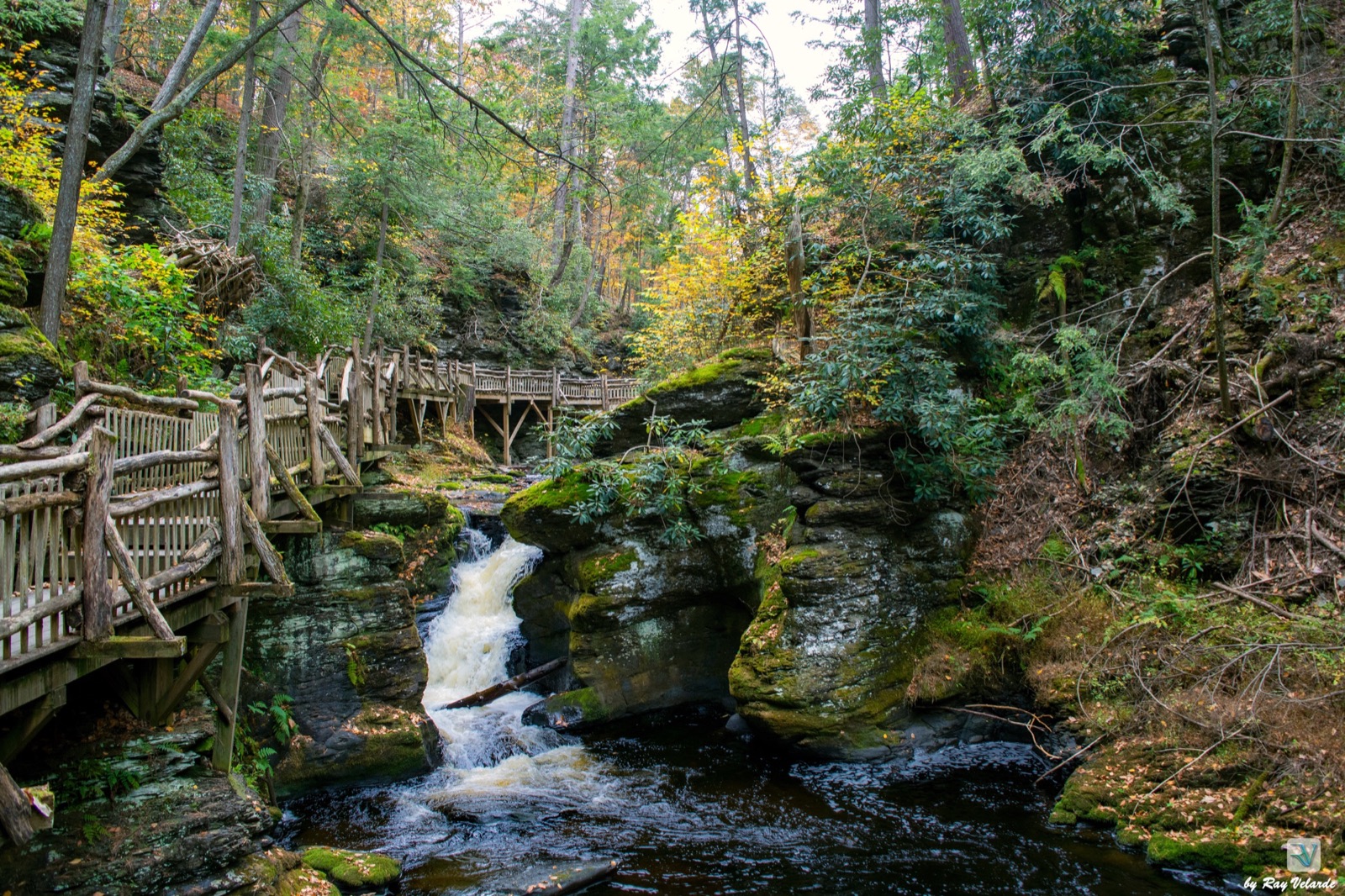 Wooden boardwalk winding beside a stream through a rocky autumn forest