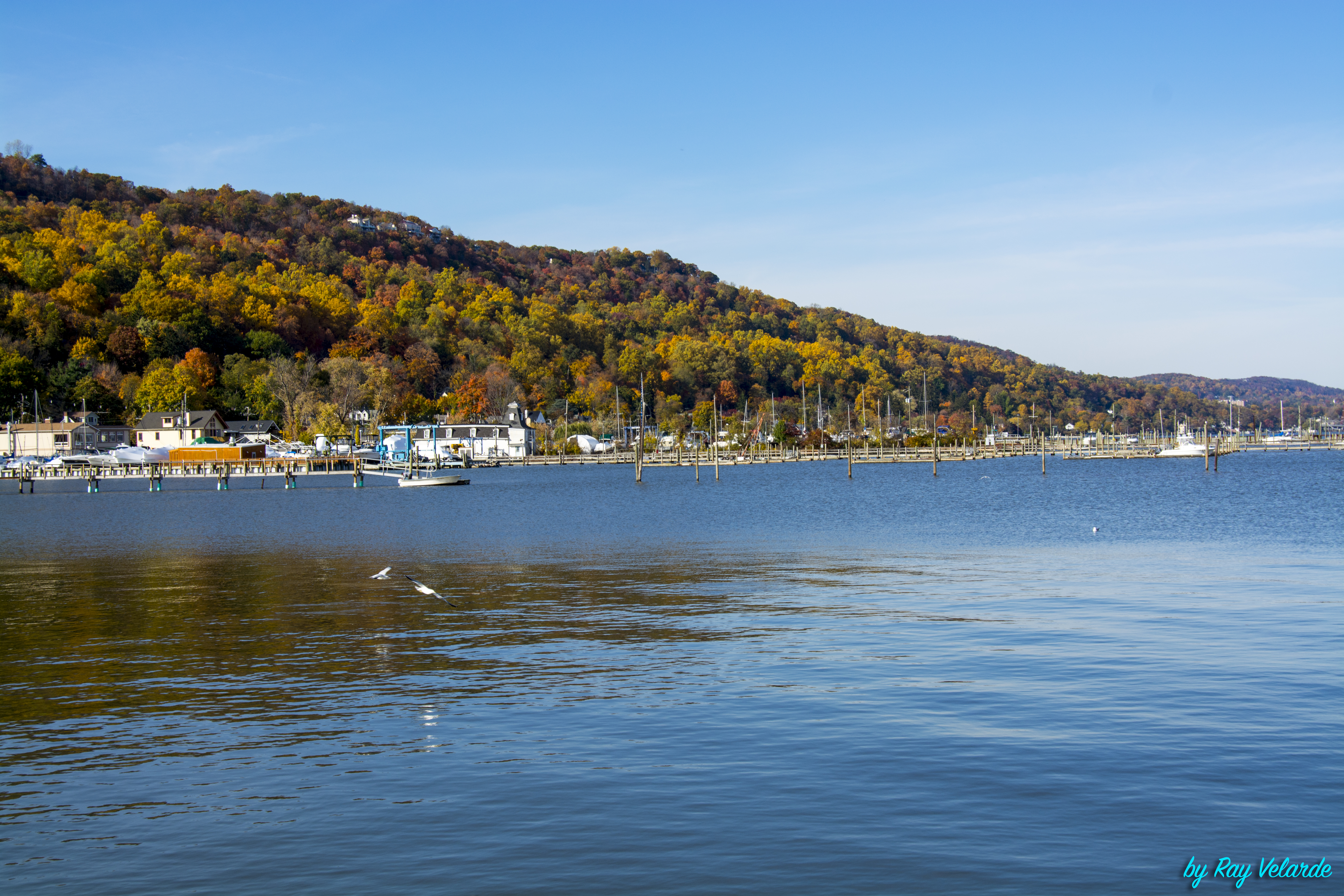 Boats gathered in a Hudson River marina beneath richly colored autumn hills