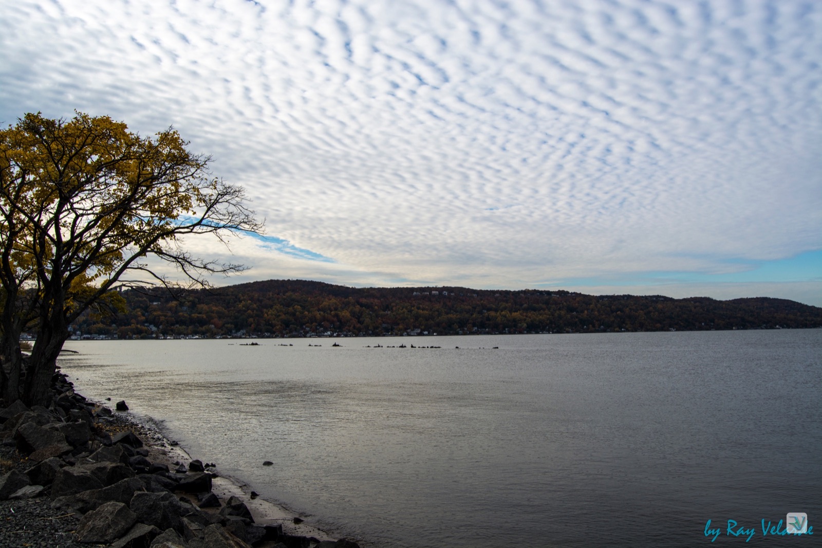 Rocky lakeshore and silhouetted tree beneath a sweeping field of clouds