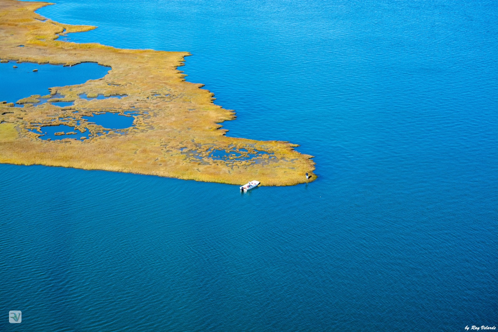 Aerial view of brilliant blue water, golden marshland, and a small white boat