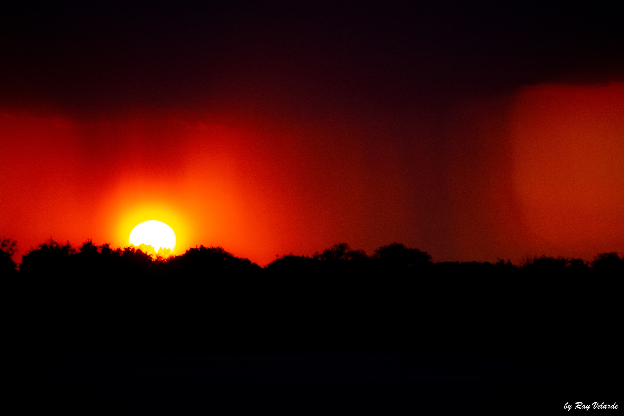 Brilliant red-orange sun lowering behind a dark silhouetted treeline