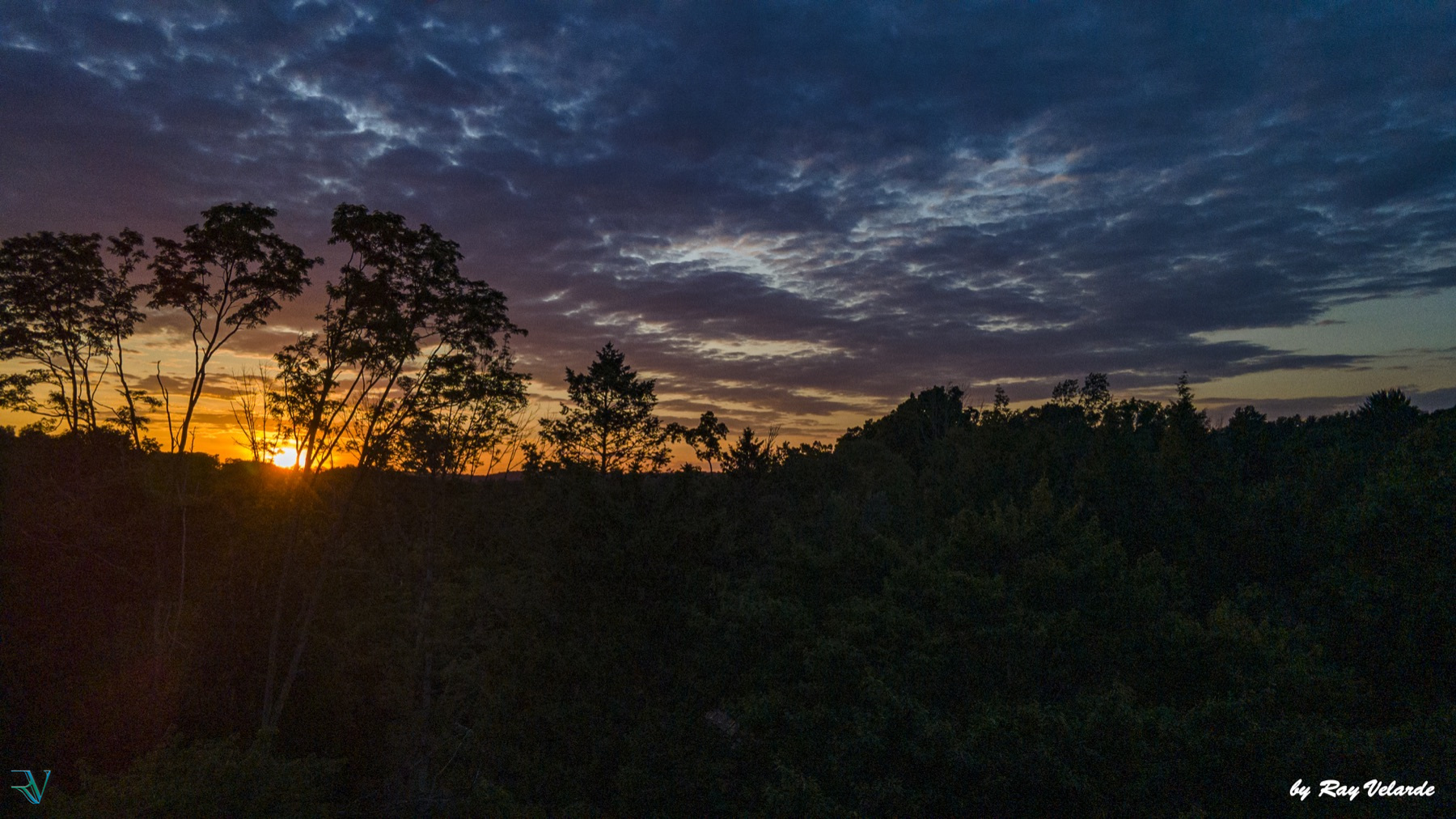 Dark treeline silhouetted against a richly colored twilight sky