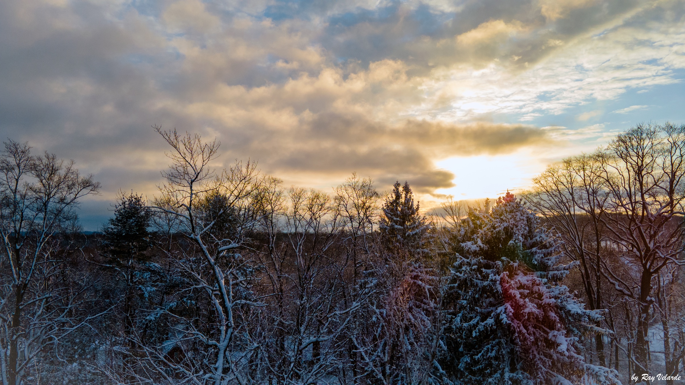 Golden winter light breaking through clouds above a snow-covered forest